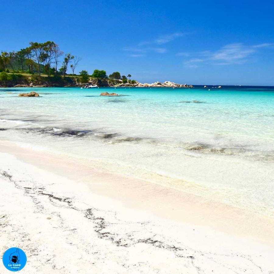 Joli Studio Maisonnette A 100M De La Plage Портіччо Екстер'єр фото
